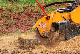 How Our Tree Care Process Works  in  Highlands, CA
