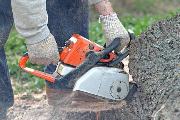 Best Aeration Services  in Highlands, CA